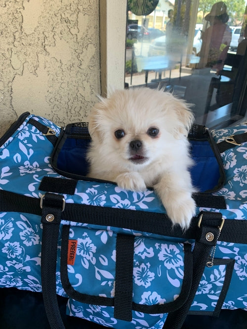 Hideaway Duffel Pet Carrier