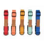 Lof Everyday Dog Collar