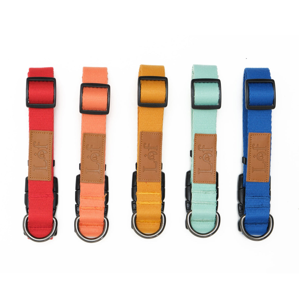 Lof Everyday Dog Collar