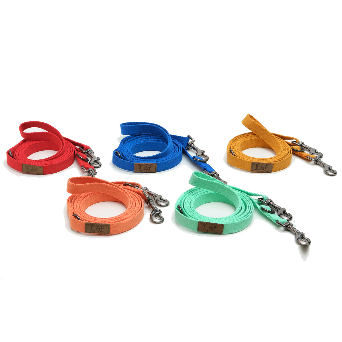 Lof Folding Dog Lead