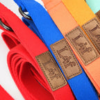 Lof Folding Dog Lead