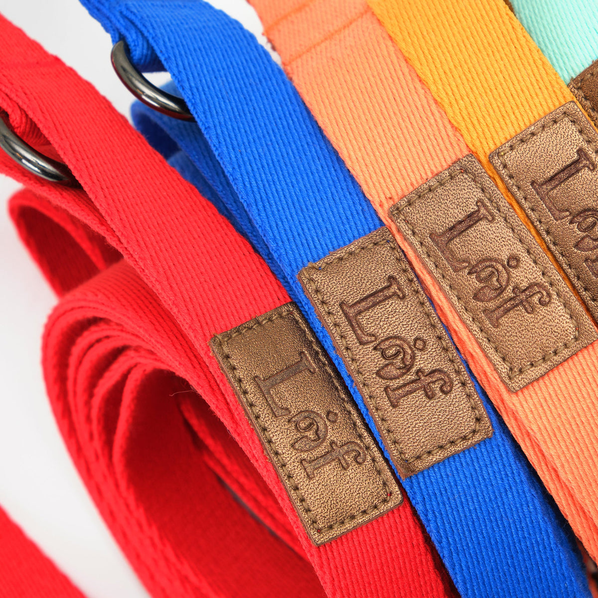 Lof Folding Dog Lead