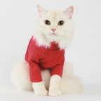 Label Dog Turtleneck - Red