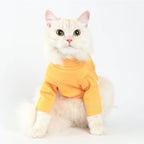Label Dog Turtleneck - Yellow