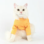 Label Dog Turtleneck - Yellow