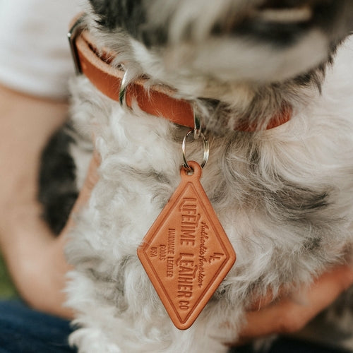 Classic Handmade Leather Dog Collar