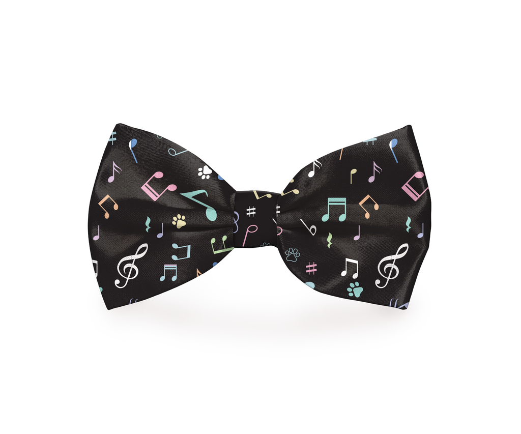 Nœud papillon pour chien motif notes de musique