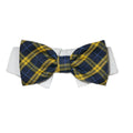Bruce Bow Tie Dress-Up Dog Collar