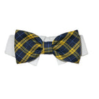 Bruce Bow Tie Dress-Up Dog Collar