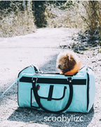 Hideaway Duffel Pet Carrier