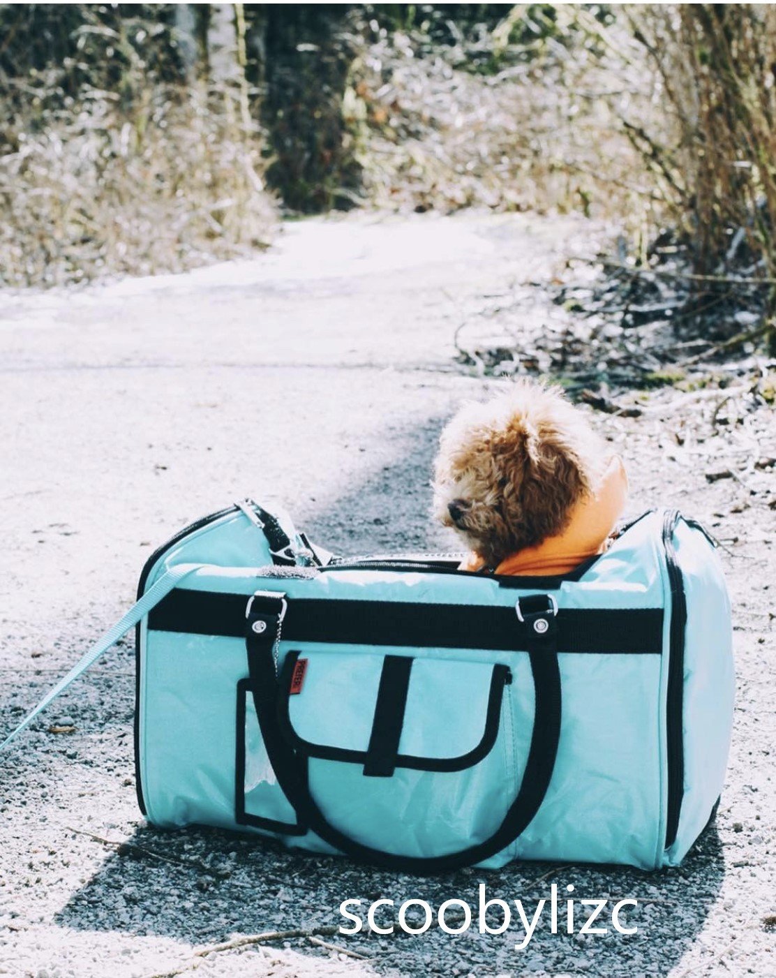 Hideaway Duffel Pet Carrier