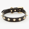 Golden Spike Leather Dog Collar - Black