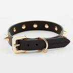 Golden Spike Leather Dog Collar - Black