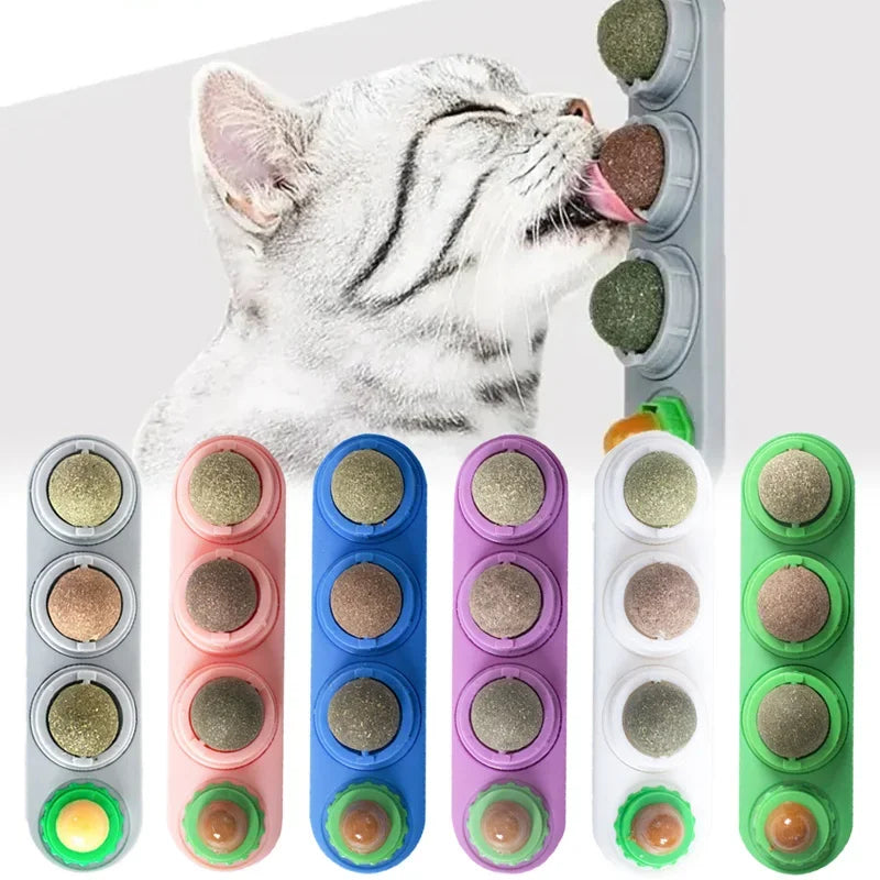 Mastication pour Chat
