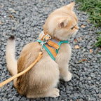 Adjustable Cat Harness with Leash Set
