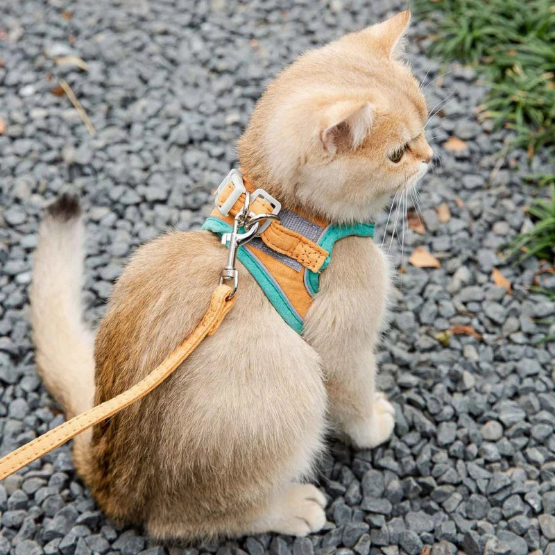 Adjustable Cat Harness with Leash Set