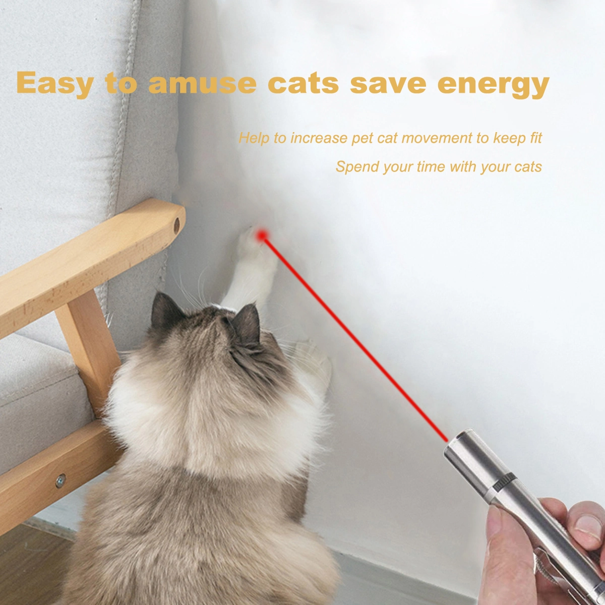 Pet Training Laser Pointer