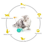Tumbler Swinging Cat Toy