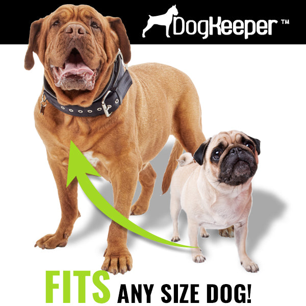 DogKeeper Outdoor Tie-Out Stake