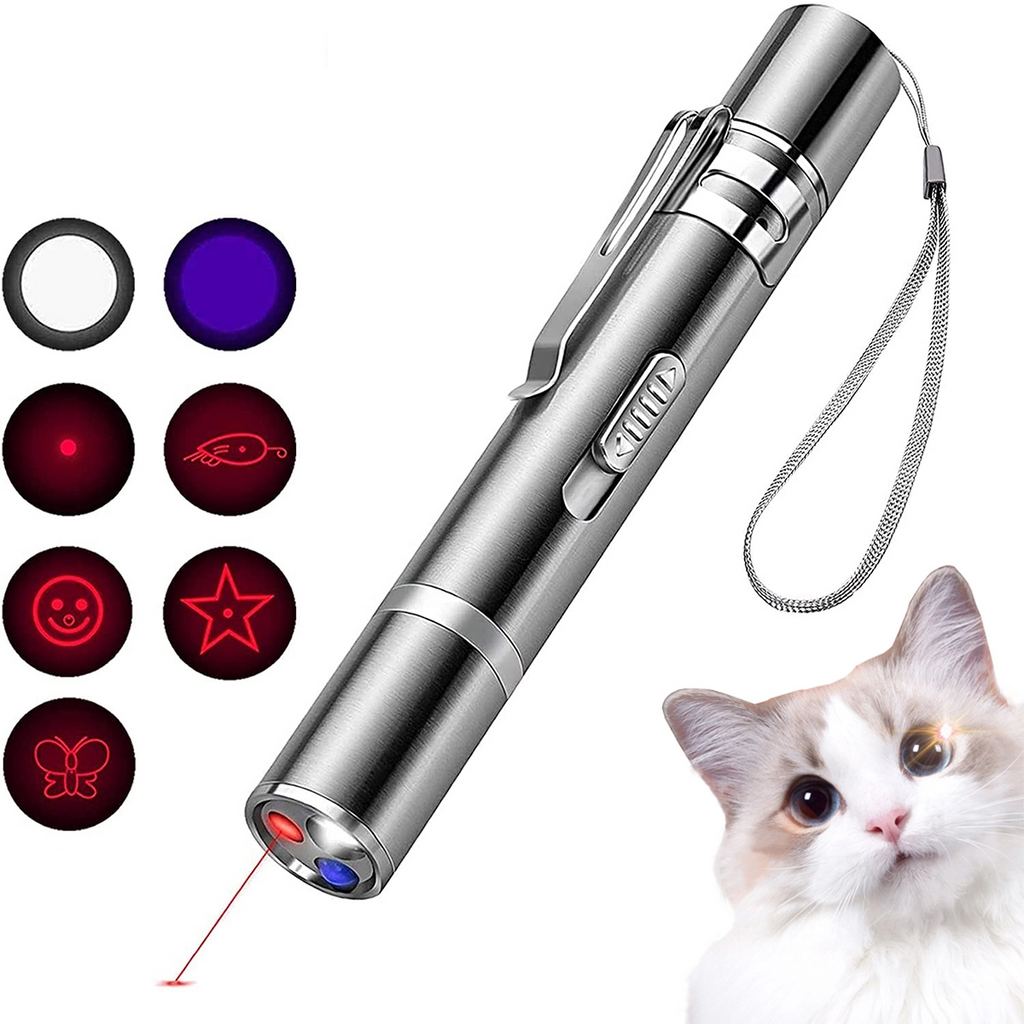 Pet Training Laser Pointer