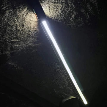 Laisse pour chien à LED lumineuse pour les promenades nocturnes