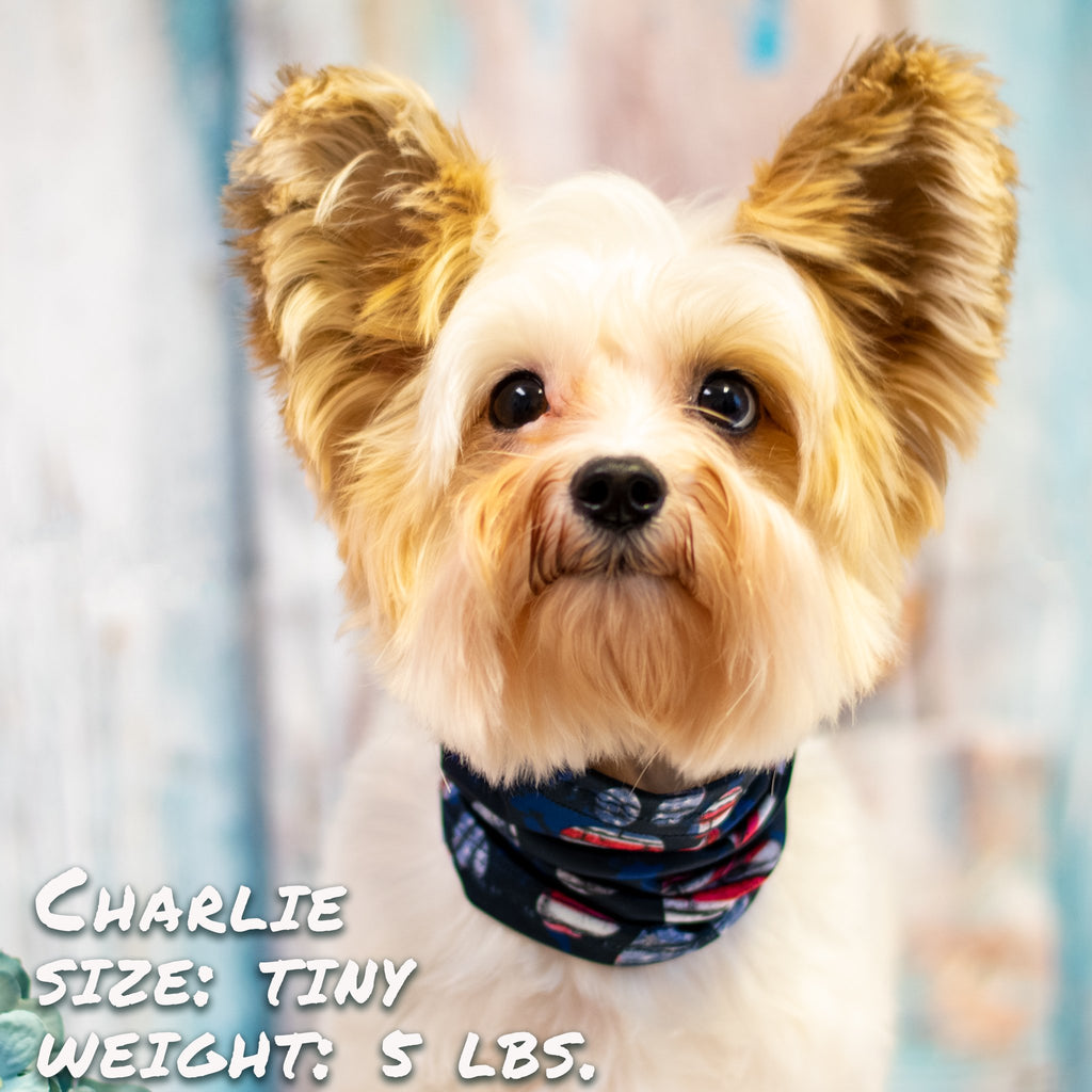 Patriotic Pup Scruff