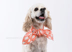 Penguin Form Dog Scarf