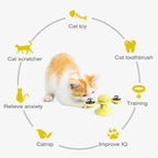 Cats Whirling LED Ball Toy