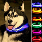 Nylon LED Dog Collar - 2 Pack