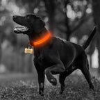 Nylon LED Dog Collar - 2 Pack