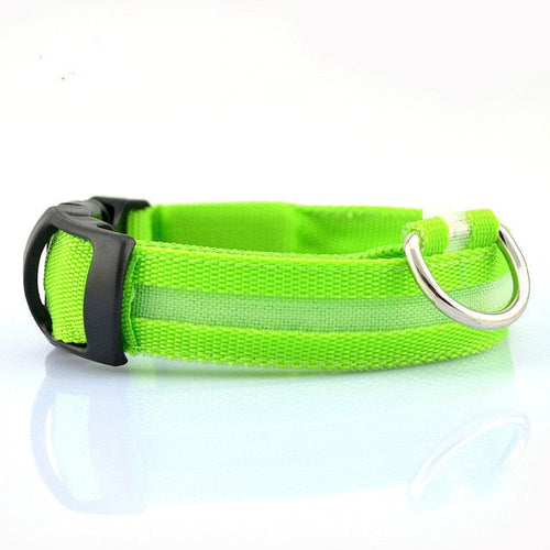 Nylon LED Dog Collar - 2 Pack