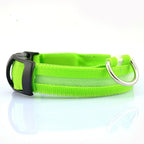Nylon LED Dog Collar - 2 Pack