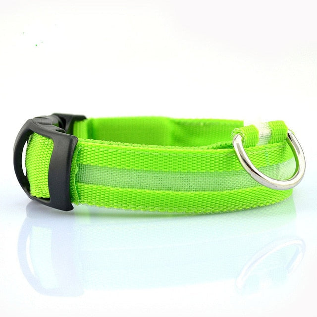 Nylon LED Dog Collar - 2 Pack