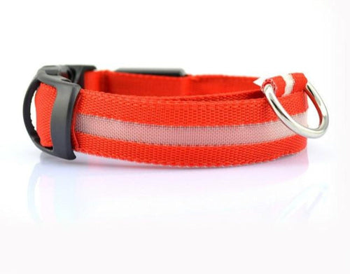 Nylon LED Dog Collar - 2 Pack