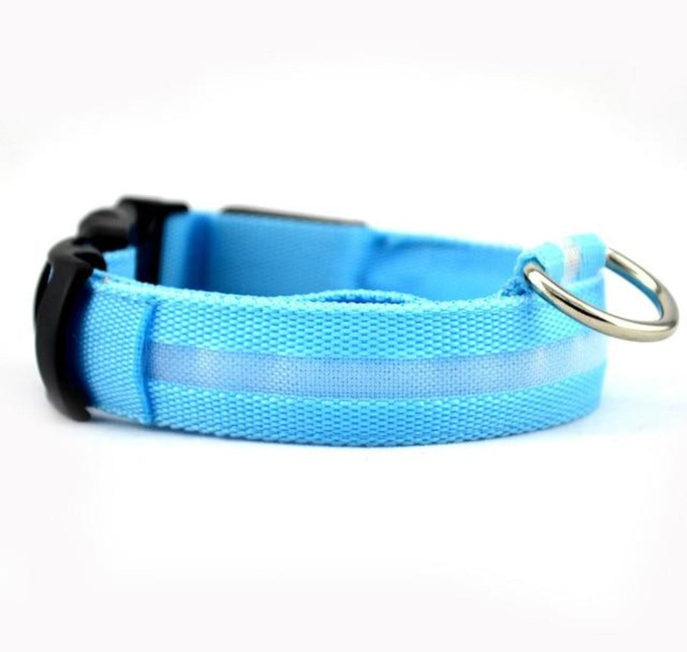 Nylon LED Dog Collar - 2 Pack