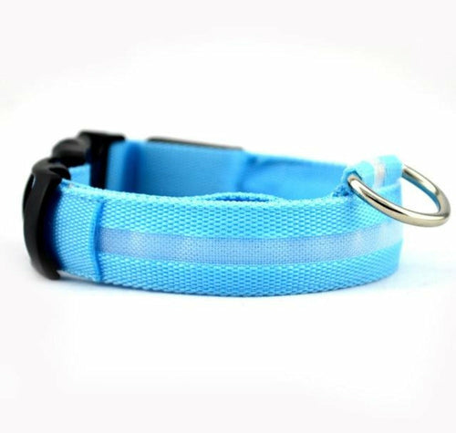 Nylon LED Dog Collar - 2 Pack
