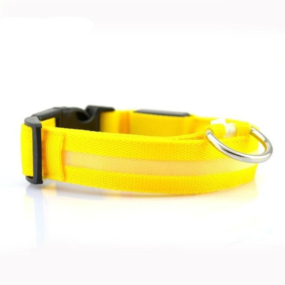 Nylon LED Dog Collar - 2 Pack