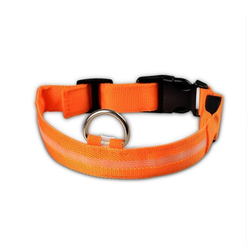 Nylon LED Dog Collar - 2 Pack