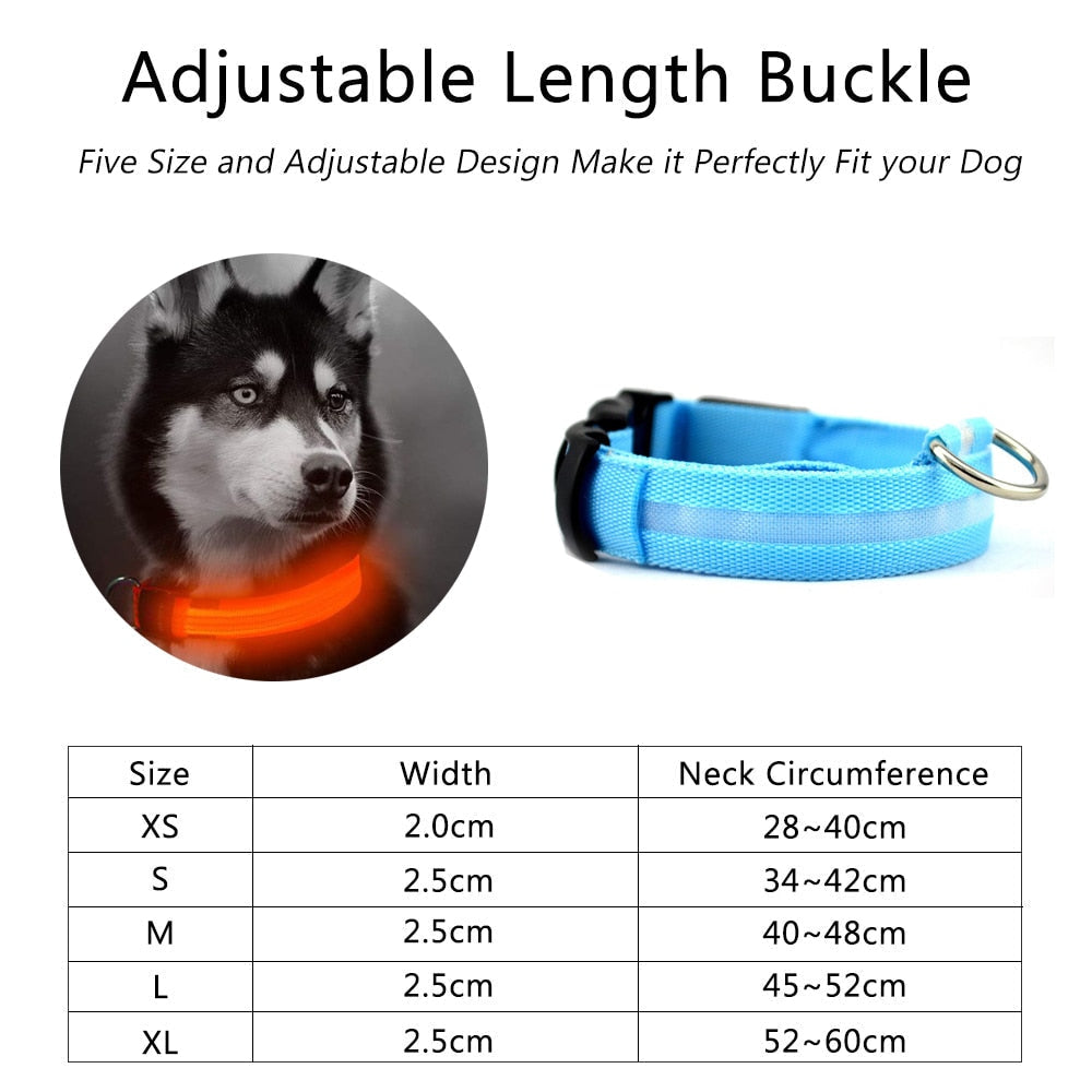 Nylon LED Dog Collar - 2 Pack